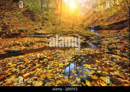 Awesome view of the unique waterfall and yellow leaves in day light. Dramatic and gorgeous morning scene. Location place Rusyliv Falls, Carpathian, Uk Stock Photo