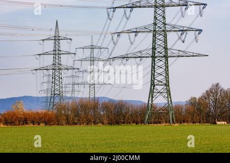 Various power poles with power lines to transport electricity in a field in winter Stock Photo