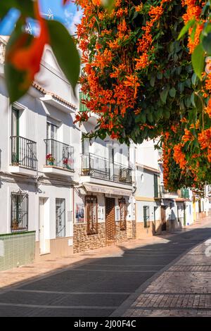 Façade of Andalusian houses. White wall painted with flowers in balcony. Typically Andalusian architecture. Plant hanging on walls Stock Photo