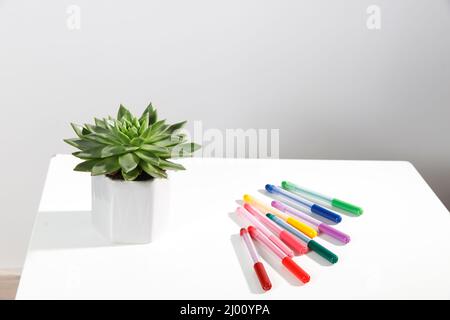 Echeveria in a beautiful ceramic pot and multi-colored felt-tip pens pencils on a beige table. Education concept. Back to school Stock Photo