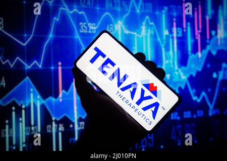 Tnya In this photo illustration the Tenaya Therapeutics logo seen displayed ...