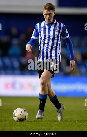 George Byers #14 of Sheffield Wednesday as Sheffield Wednesday ...