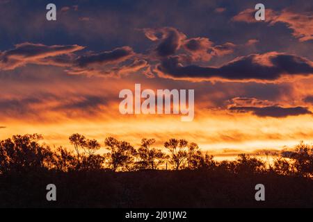 Spectacular fiery sunset in the Australian Outback, Western Australia, WA, Australia Stock Photo