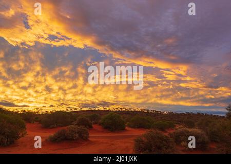 Spectacular fiery sunset in the Australian Outback, Western Australia, WA, Australia Stock Photo