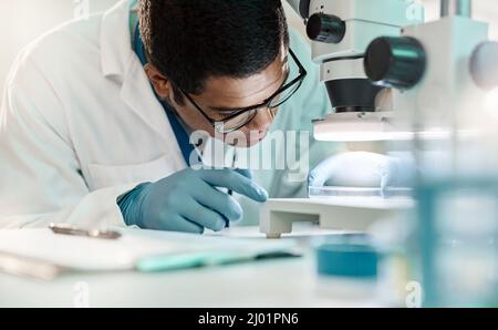 Scientific knowledge allows us to progress through the world. Shot of a young scientist using a microscope in a lab. Stock Photo