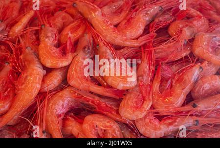 A pile of shrimps for sale at a fish counter. Fresh prawn sale in a fish market. Shrimps in ice. Blurred photo, selective focus, nobody. Stock Photo