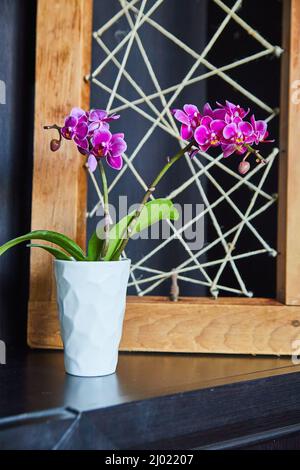 Pink orchid in front of wood and twine art piece on dark brown shelf Stock Photo