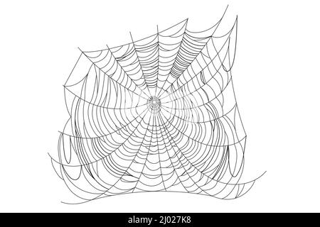 Spider web parts isolated on white background. Scary cobweb outline decor. Vector design elements for Halloween, horror, ghost or monster party, invitation and posters. Stock Vector