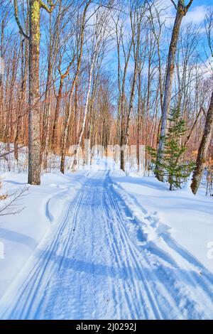 Snowy landscape of hiking path in winter with trees and yellow leaves Stock Photo