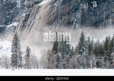 A thin layer of mis has developed in Yosemite valley floor on a snowy winter afternoon, just before sunset.