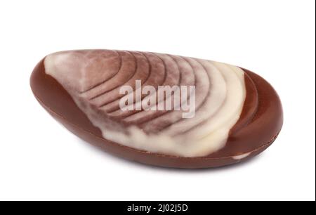 Chocolate sweets shaped as seashells isolated on white background Stock Photo