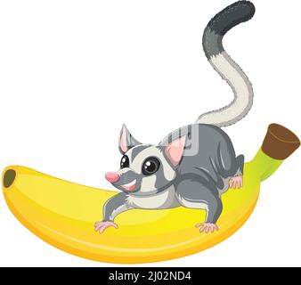Sugar glider sitting on banana illustration Stock Vector