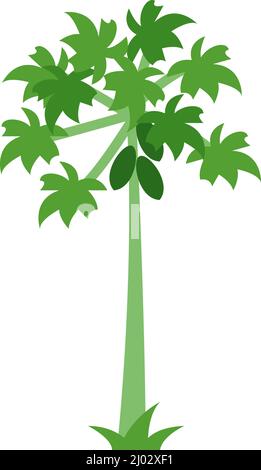 Green Leaves Papaya Fresh Abstract Isolated On White Background Illustration  Vector Royalty Free SVG, Cliparts, Vectors, and Stock Illustration. Image  154301487.