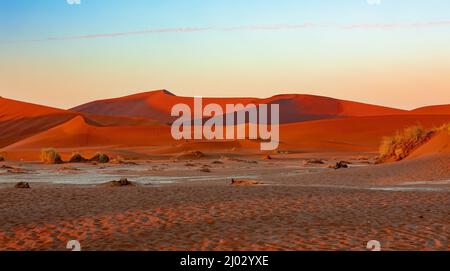Arid dead sunrise landscape, near famous Dead Vlei in Namib desert, dune with morning sun, Namibia, Africa wilderness landscape Stock Photo