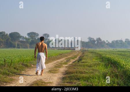 Young Indian male walking in the fields Stock Photo