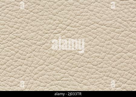 Unusual leather texture in simple light colour. Stock Photo