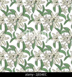 Lemon tree blossom seamless pattern. Background with snowy small white flowers and leaves. Botanical natural template for fabric, paper, wallpaper des Stock Vector