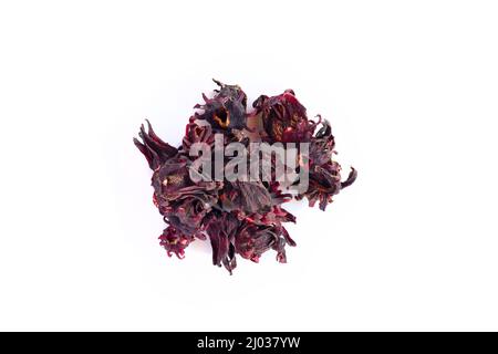 Roselle flower dry for herb tea isolated on white background Stock Photo