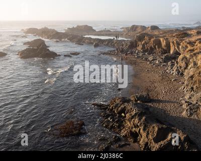 Rocky beach on the coastal path near Fort Bragg, California, United States of America, North America Stock Photo