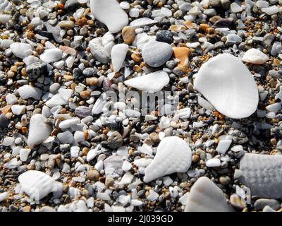 Pebbles on the seashore. Coast of the Caspian Sea. Stock Photo