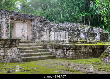 Portal, Structure IV-B, Balamku Archaeological Zone, Mayan Ruins, Campeche State, Mexico, North America Stock Photo