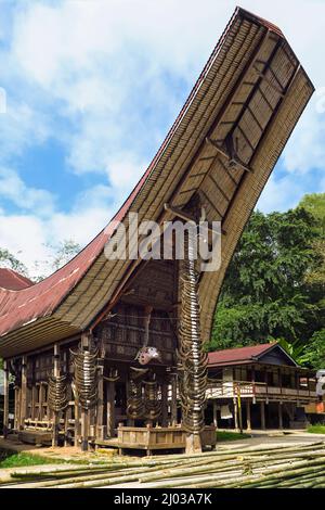 Traditional saddleback roof Tongkonan house at family compound near Rantepao, La'bo, Rantepao, Toraja, South Sulawesi, Indonesia, Southeast Asia, Asia Stock Photo