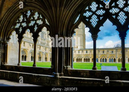 Cloisters at Norwich cathedral. Stock Photo