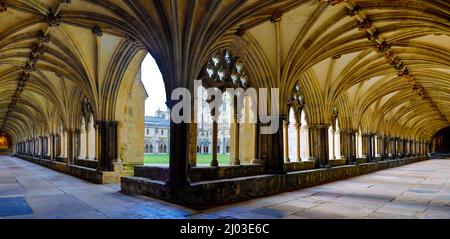 Cloisters at Norwich cathedral. Stock Photo