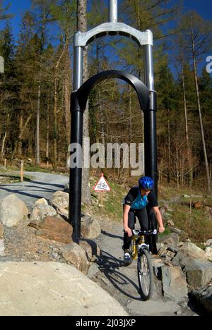 Mountain Biking in Coed y Brenin Forest Stock Photo Alamy