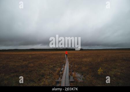 young woman wearing a red jacket walks along a wooden walkway in the area around Rovaniemi, Lapland, Finland. Arctic wetland area during rainy days. D Stock Photo