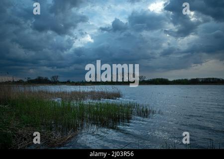 Cloudy sky over a lake with reeds, Spring view Stock Photo