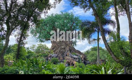 Orlando, FL USA -July 18, 2020: The Tree of Life at Animal Kingdom at  Walt Disney World  in Orlando, Florida. Stock Photo