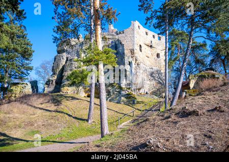 Mediaeval ruins of Valecov Castle Stock Photo