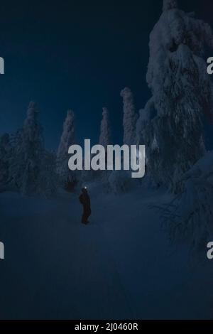 Traveling in winter mountains, a person shines a flashlight on a snowy fir tree in the winter mountains at night Stock Photo