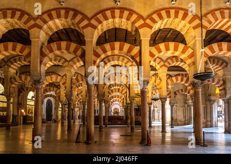 Maurische Säulen und Bögen im Innenraum der Mezquita - Catedral de Córdoba in Cordoba, Andalusien, Spanien  |  Moorish arches and columns of the Mezqu Stock Photo