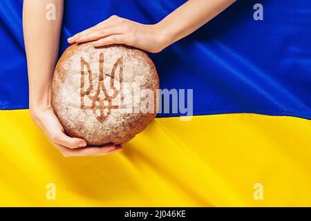 Bread in woman's hands with the Coat of arms of Ukraine on it against the background of the Ukrainian flag Stock Photo