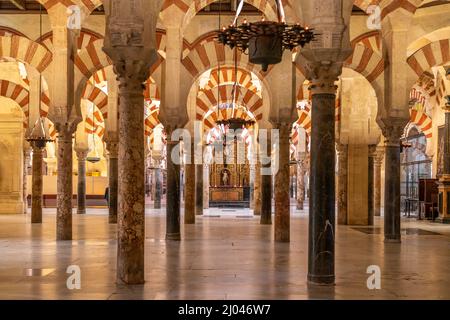 Maurische Säulen und Bögen im Innenraum der Mezquita - Catedral de Córdoba in Cordoba, Andalusien, Spanien  |  Moorish arches and columns of the Mezqu Stock Photo