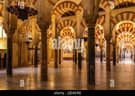 Maurische Säulen und Bögen im Innenraum der Mezquita - Catedral de Córdoba in Cordoba, Andalusien, Spanien  |  Moorish arches and columns of the Mezqu Stock Photo