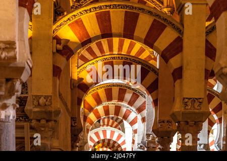 Maurische Säulen und Bögen im Innenraum der Mezquita - Catedral de Córdoba in Cordoba, Andalusien, Spanien  |  Moorish arches and columns of the Mezqu Stock Photo