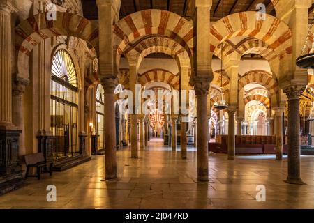 Maurische Säulen und Bögen im Innenraum der Mezquita - Catedral de Córdoba in Cordoba, Andalusien, Spanien  |  Moorish arches and columns of the Mezqu Stock Photo