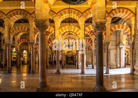 Maurische Säulen und Bögen im Innenraum der Mezquita - Catedral de Córdoba in Cordoba, Andalusien, Spanien  |  Moorish arches and columns of the Mezqu Stock Photo