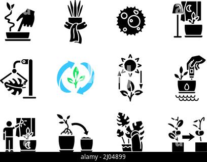 Caring for houseplants black glyph icons set on white space Stock Vector