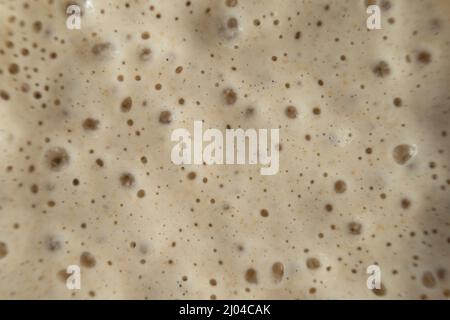 Active and bubbly sourdough starter for bread making Stock Photo