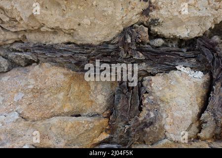 Damaged wall close up Stock Photo