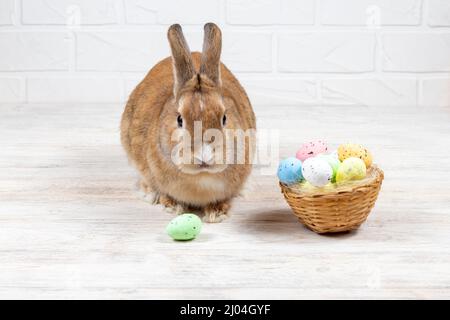 Red Easter Bunny with colorful eggs in a nest on a white background. Holiday concept. Place for an inscription. Stock Photo