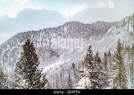 Snow Covered Mountain and Trees with a Partly Cloudy Sky Stock Photo