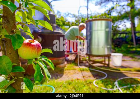 Ripe, mature red apple in front of domestic production, homemade distillery made of copper, making moonshine schnapps, alcoholic beverages such as bra Stock Photo