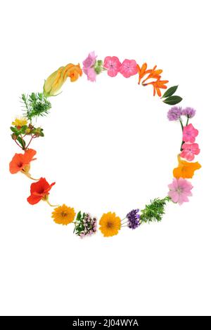 Summer flower and herb wreath. Flowers and herbs used in herbal plant medicine, seasoning and food decoration purposes. On white background. Stock Photo