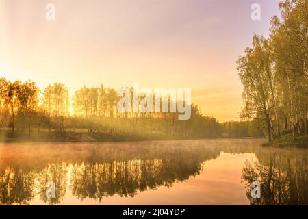 Sunrise on a pond with birch trees growing along the banks, sunbeams breaking through that and the sky reflected in the water in early summer. Stock Photo