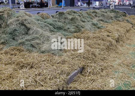 Paris, France. 3rd Mar, 2022, Pile of straw at the International Agricultural Show, on March 3, 2022 in Paris,  France. Credit : Gerard Crossay/Alamy Stock Photo